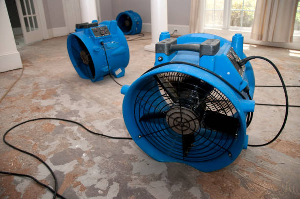 Local water damage restoration in OK